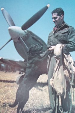 WING LEADER WING LEADER