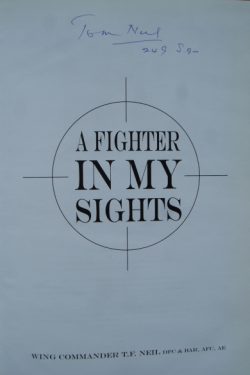 A FIGHTER in my SIGHTS