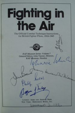 FIGHTING in the AIR FIGHTING in the AIR