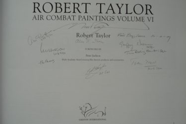 Robert Taylor ~ Air Combat Paintings VI