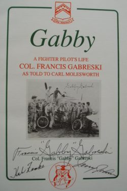 GABBY: A Fighter Pilot’s Life GABBY: A Fighter Pilot’s Life