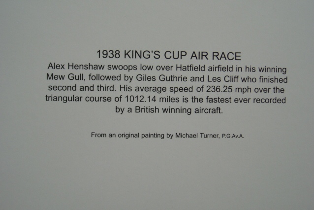 Alex Henshaw ~ MEW GULL