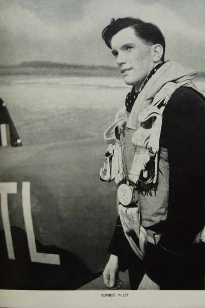Winged Squadrons